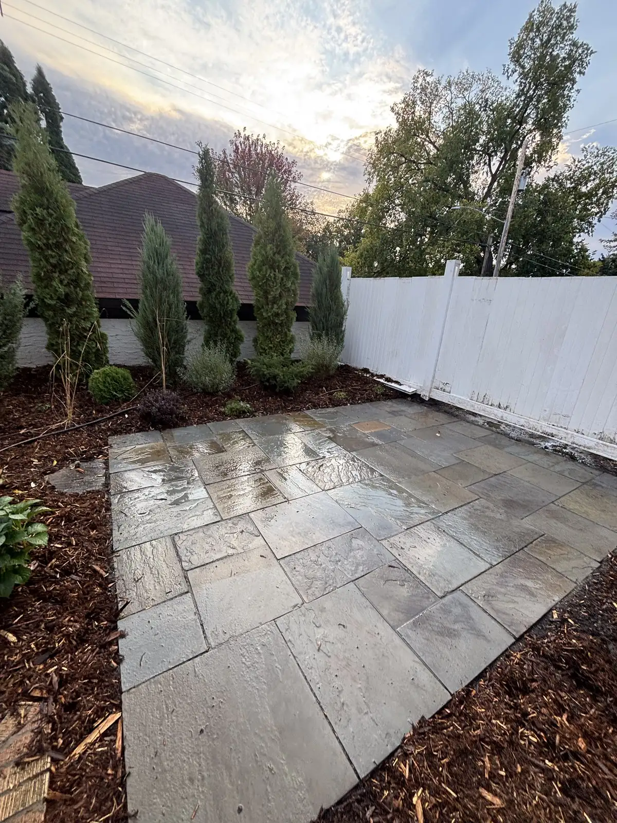 Bluestone patio with arborvitae privacy screen and mulch beds at twilight in Edina