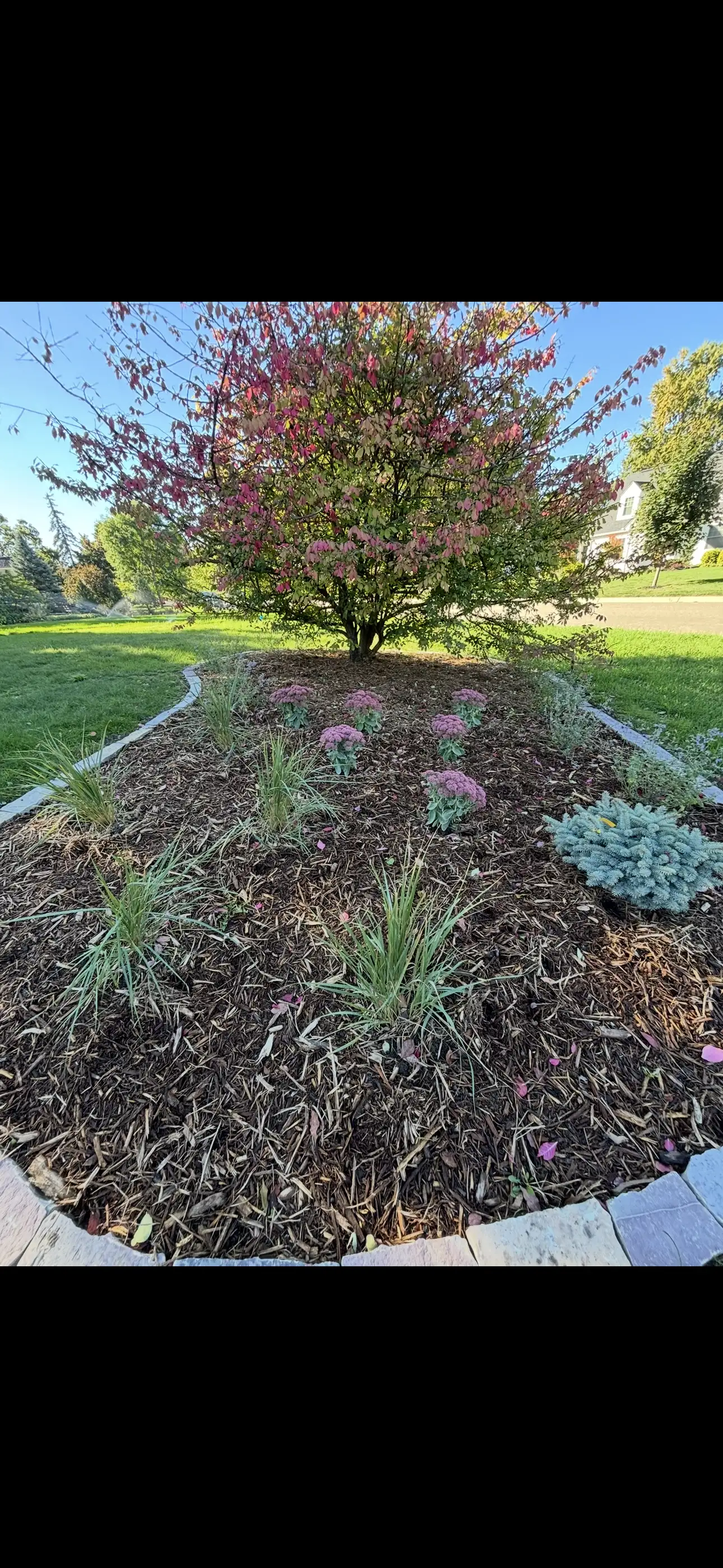 Residential Planting Installation project photo — hopkins planting 05