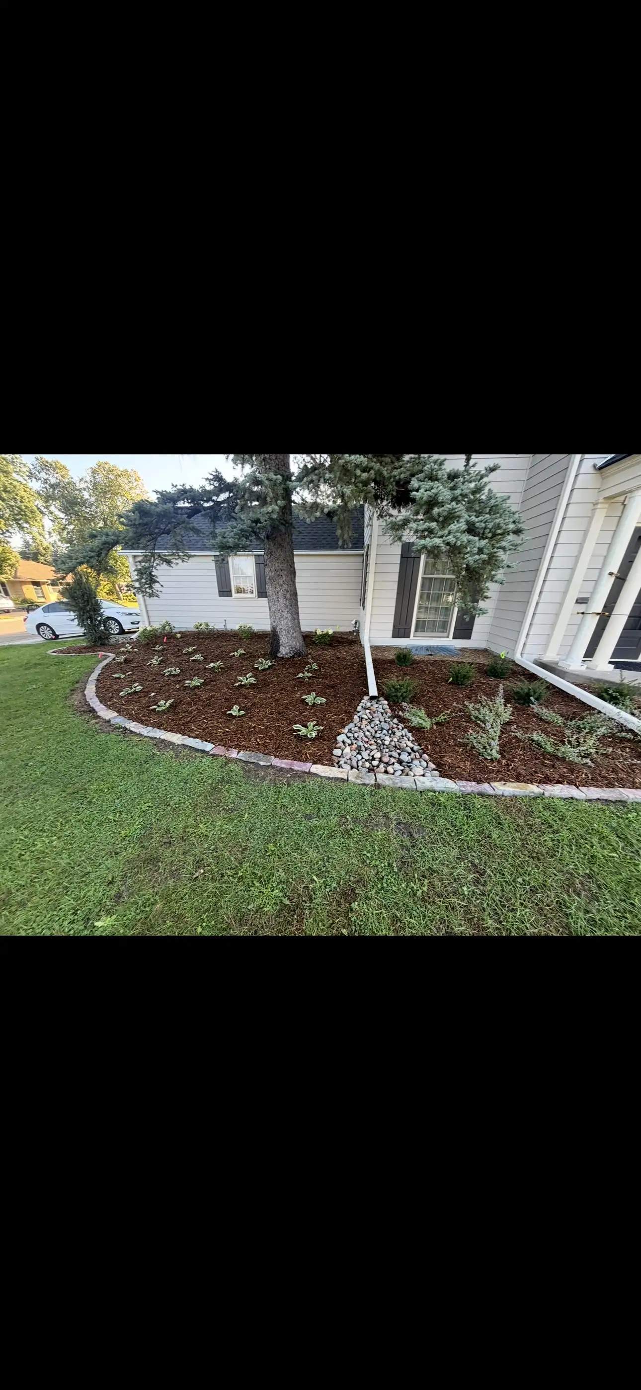 Residential Planting Installation project photo — hopkins planting 06