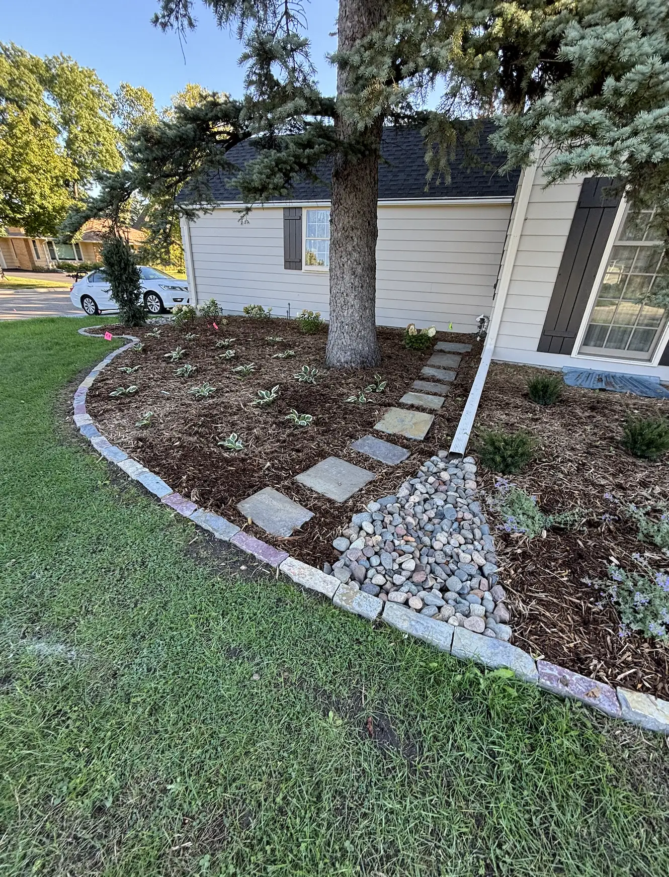 Residential Planting Installation project photo — hopkins planting 09